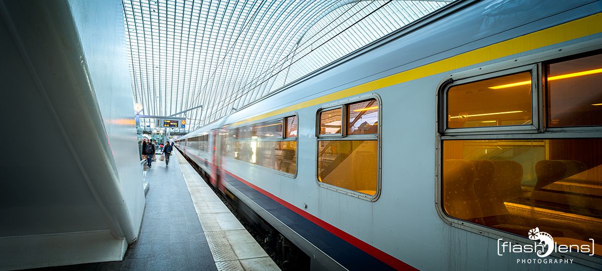 Gare Guillemins 003