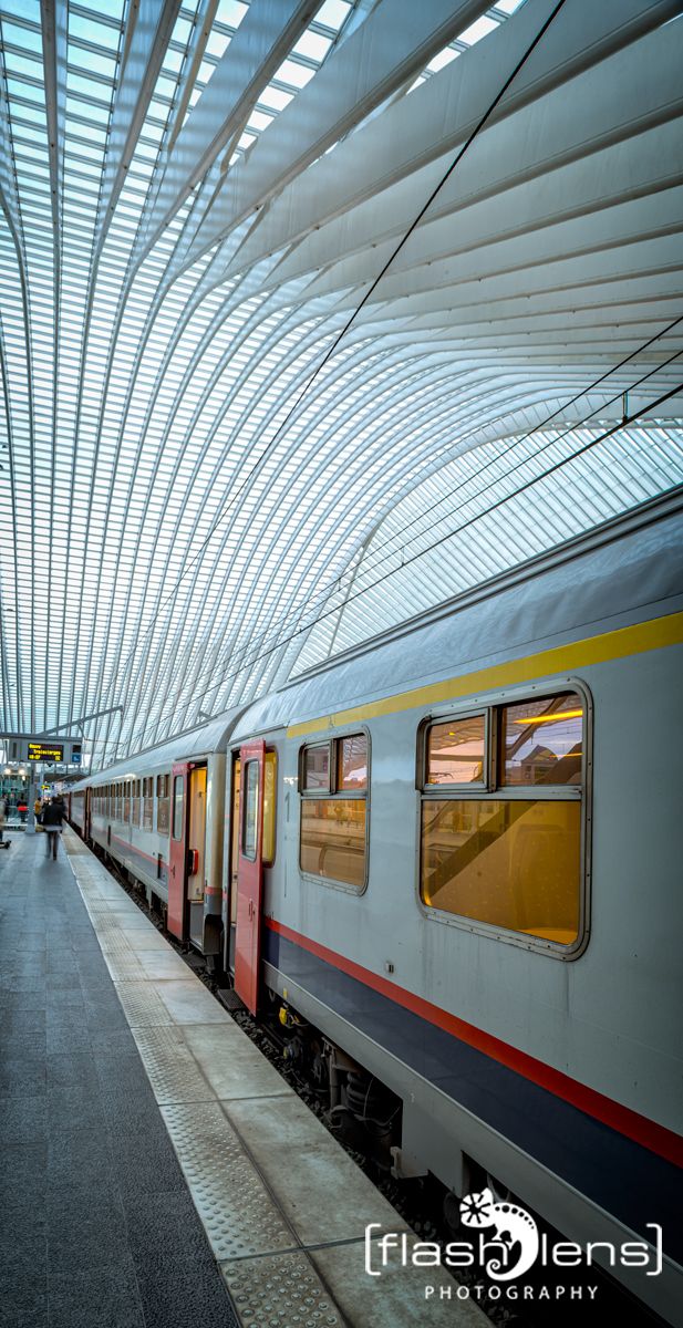 Gare Guillemins 004