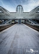 Gare Guillemins 006