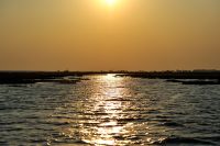 002 Chobe Riverfront Zim 2010 22