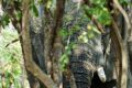 004 Lake Kariba Zim 2010 17