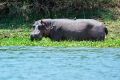 004 Lake Kariba Zim 2010 8