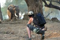 005 NP Mana Pools Zim 2010 10