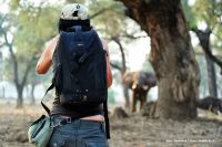 005 NP Mana Pools Zim 2010 11