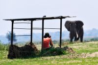 005 NP Mana Pools Zim 2010 56