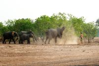 005 NP Mana Pools Zim 2010 76