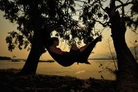 005 NP Mana Pools Zim 2010 78