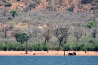 007 F  hre Kariba See Zim 2010 17