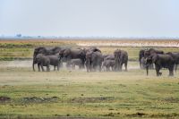 008 Chobe NP Zim 2010 23