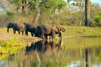 009 Mudumu NP Zim 2010 24