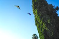 010 Farm Okapukta Zim 2010 1