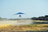 010 Farm Okapukta Zim 2010 5