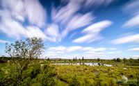 Brackvenn 002