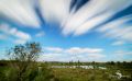 Brackvenn 003