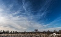 Brackvenn 004