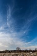Brackvenn 005