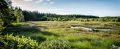 Brackvenn 015