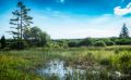 Brackvenn 016