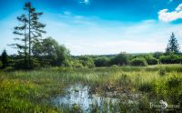 Brackvenn 016