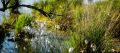 Brackvenn 018
