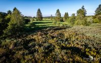 Brackvenn 022