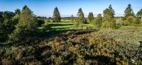 Brackvenn 023