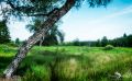 Brackvenn 028