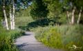 Brackvenn 029