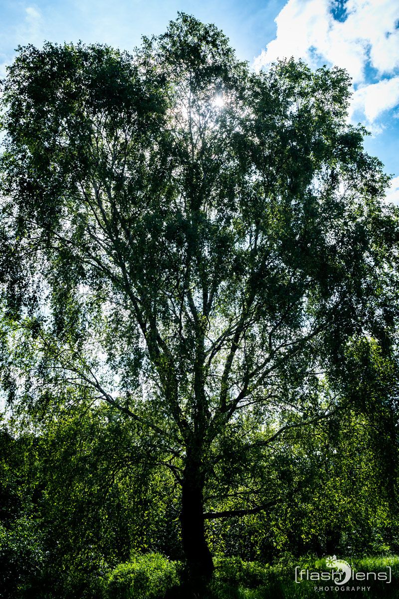 Brackvenn 034