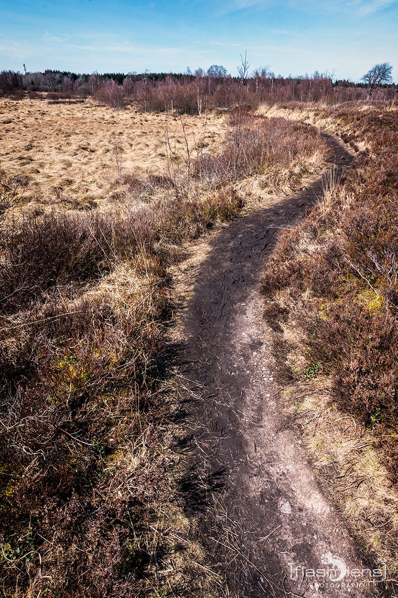 Brackvenn 039
