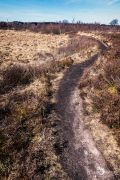 Brackvenn 039