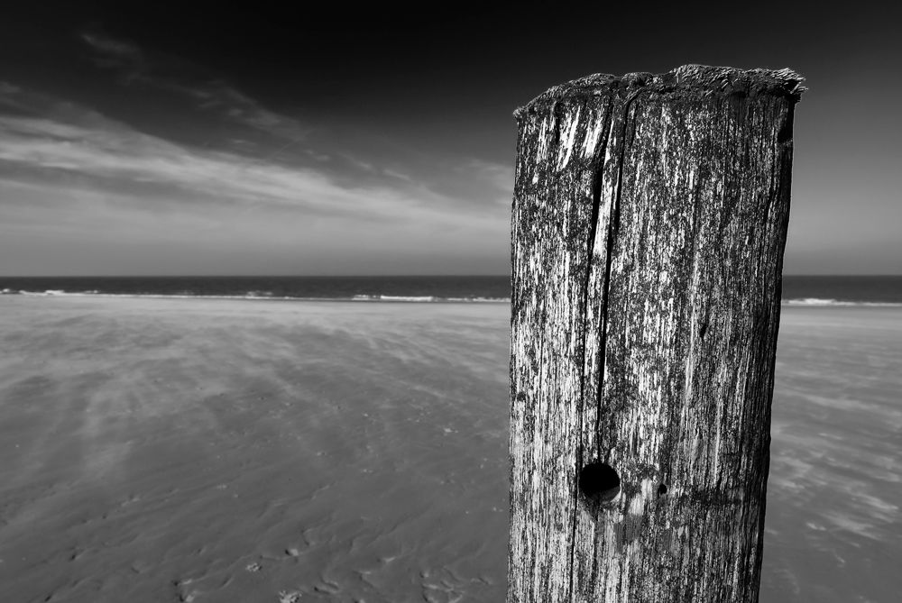 Niederlande 030