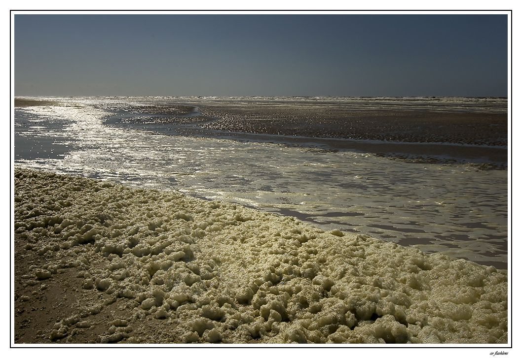 Niederlande 054