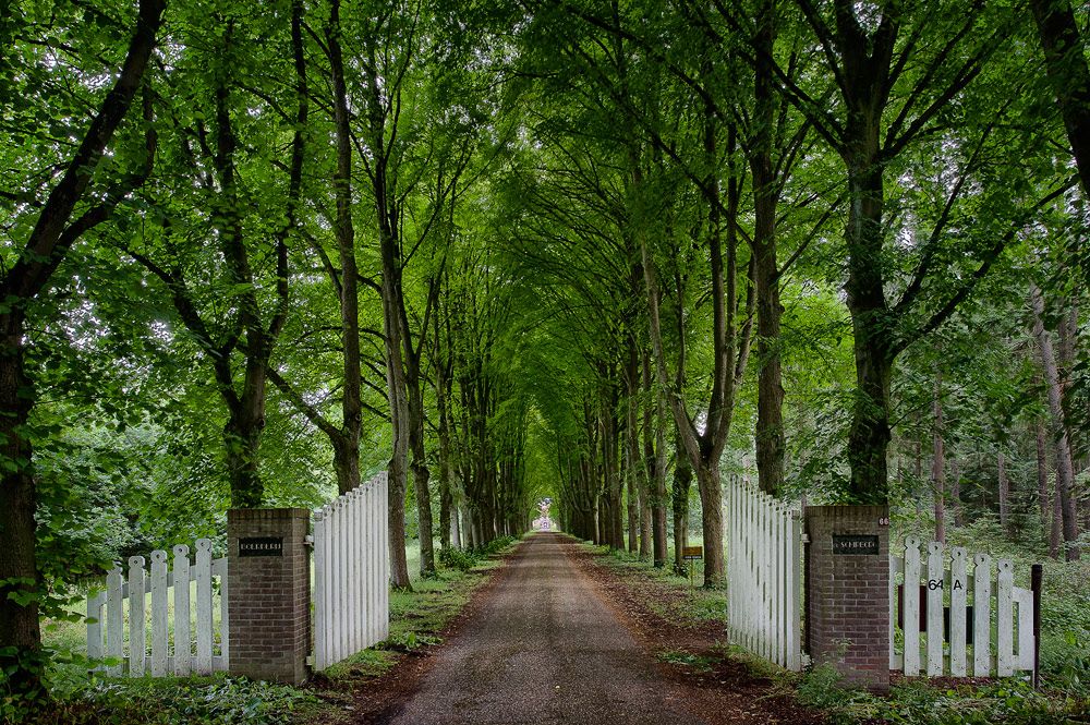 Niederlande 088