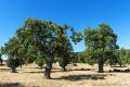 Portugal 2013 006