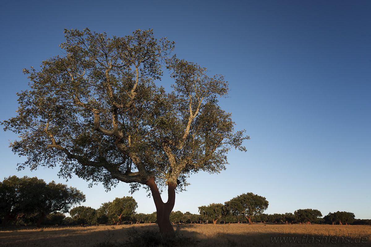Portugal 2013 007