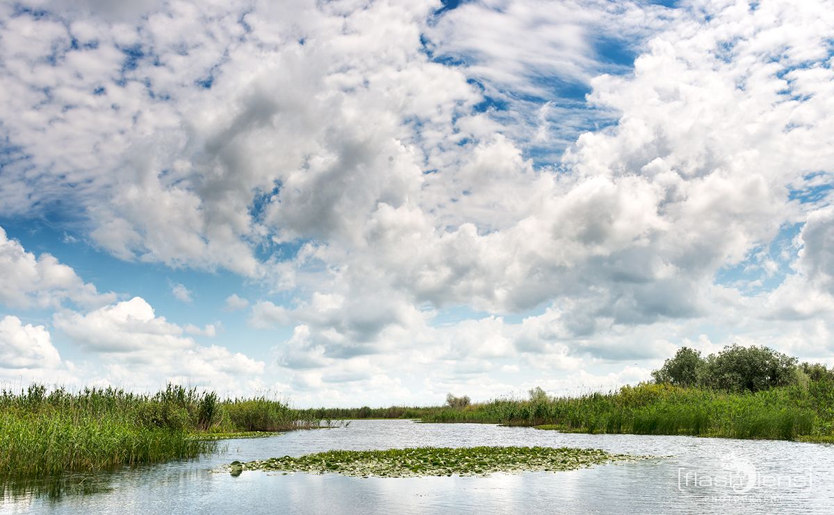 10 Donaudelta 038
