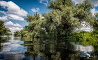 10 Donaudelta 043
