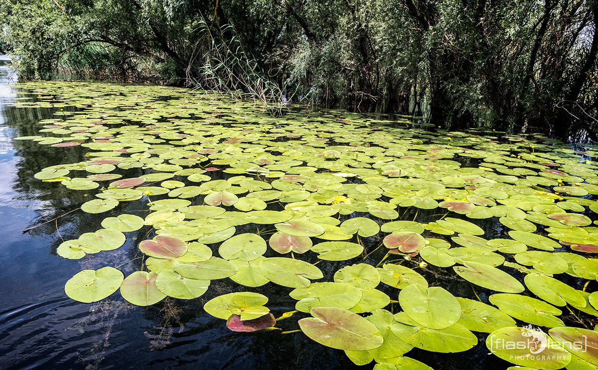 10 Donaudelta 045