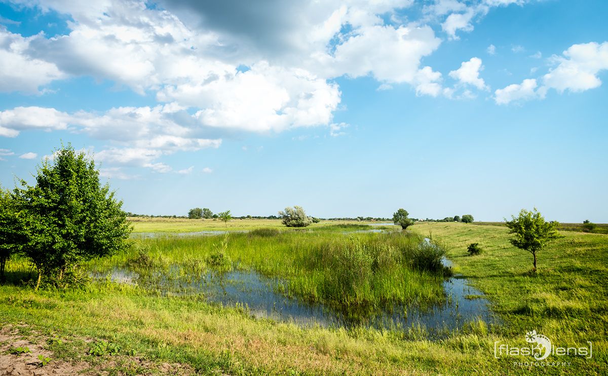 10 Donaudelta 079