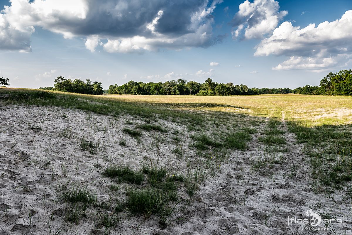 10 Donaudelta 084