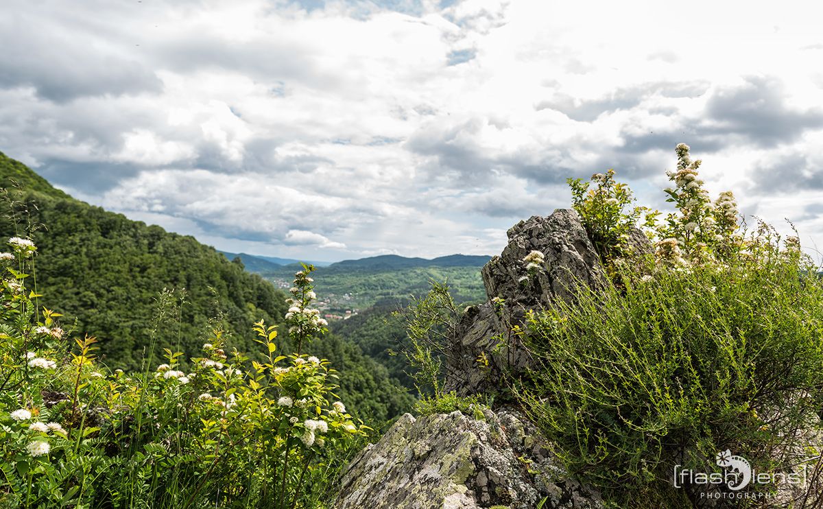 50 Burgruine Poienari 006
