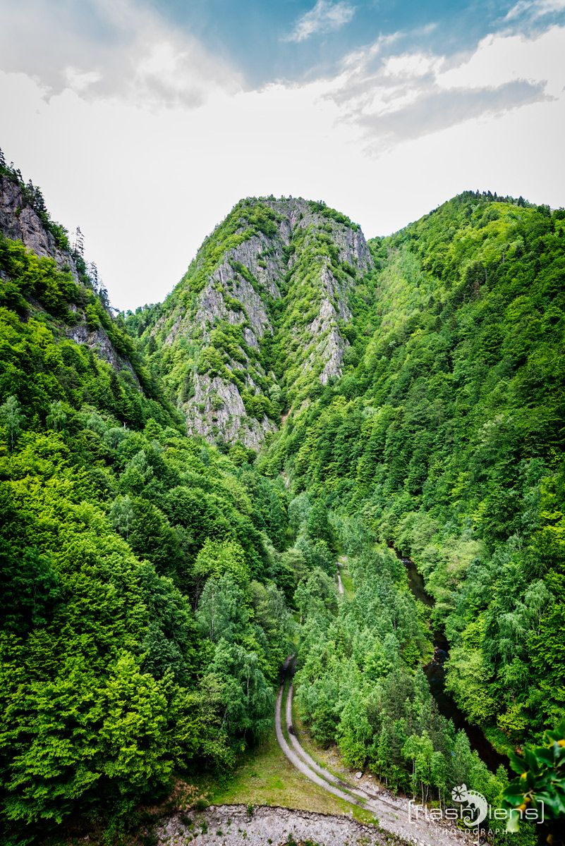 50 Burgruine Poienari 010