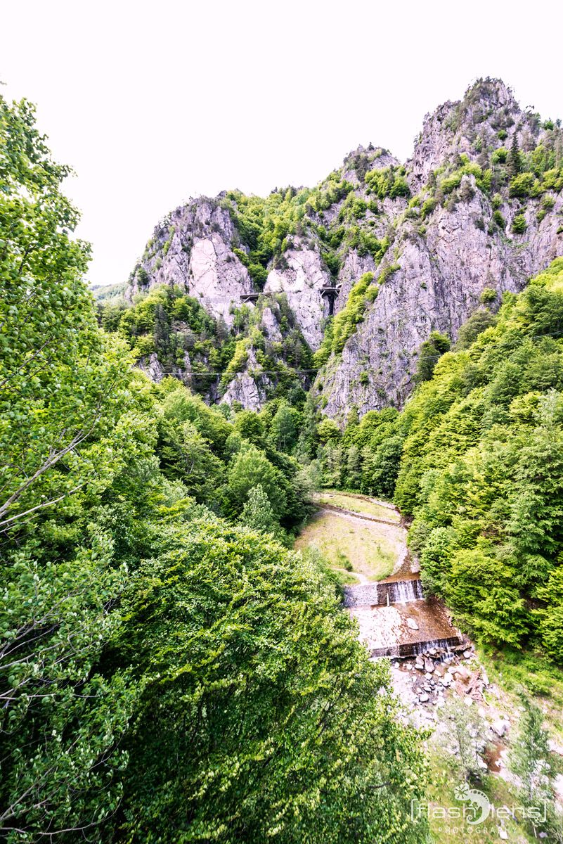 50 Burgruine Poienari 011