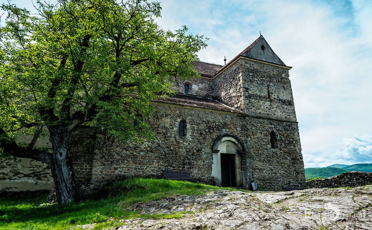 1137 Cisnadioara 004
