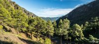 ErkundungsReise La Palma 001