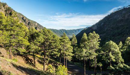 La Palma 2017