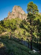 ErkundungsReise La Palma 002