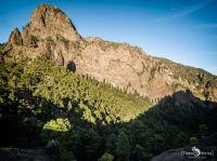 ErkundungsReise La Palma 003