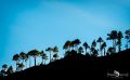 ErkundungsReise La Palma 004